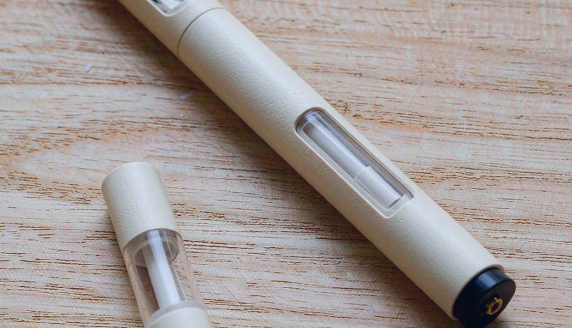 Bulk-Packed Authorized Vape Application: Payment Terms for Wholesalers — Authorized Vape Distributor Application Form Bulk